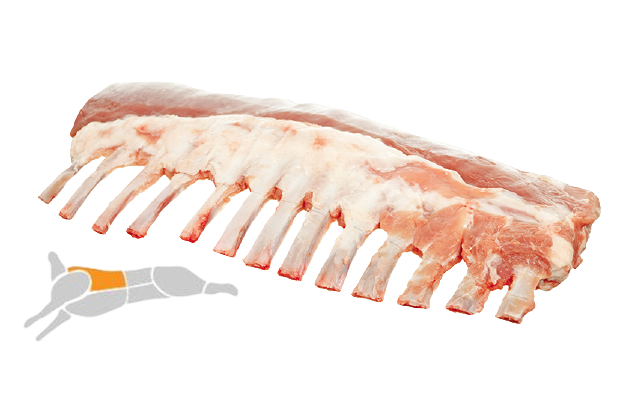 Pirzola Kanat