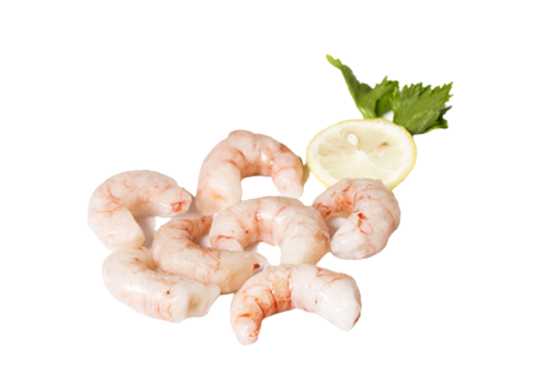 Meat Shrimp